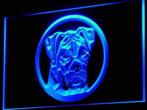 American Bulldog Dog Pet Shop